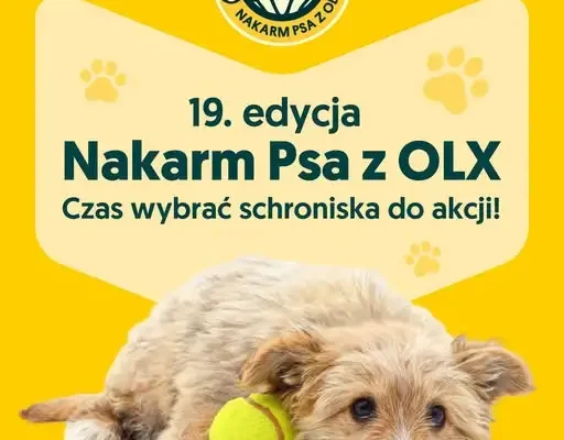 OLX startuje z 19. edycją akcji Nakarm Psa. Trwa wybór schronisk