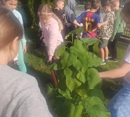 Uczniowie z Grębowa posadzili drzewo pamięci dla zmarłej koleżanki Julii